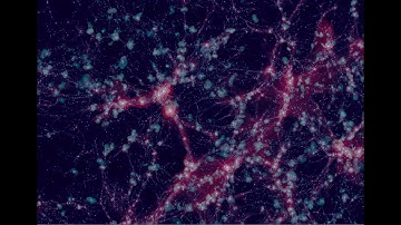 The Largest Simulation of the Universe