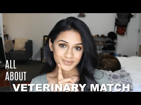 Tips for Veterinary Internship & Match