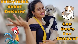 Can Dogs Eat Chicken? The Truth About Chicken Shihtzu And Lhasa Apso Dog Balanced Diet Resimi
