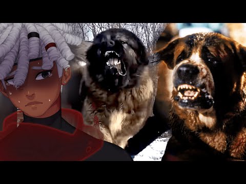 These Dogs Will Jack You UP... | Kishin Reacts to Casual Geographic