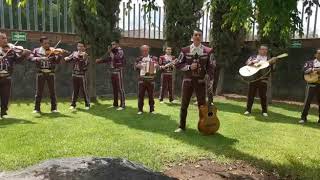 Mariachi Internacional Halcones de México -  Cuando yo quería ser grande