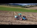 Eicher 3706 tractor | fertilize and cover | vineyard machinery