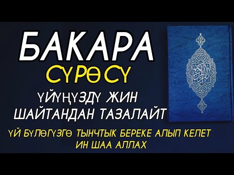 Video: Чалкан чайын кантип жасаса болот: 10 кадам (сүрөттөр менен)