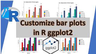 Customize Bar plot in R -GGplot2- in 5 steps : Beautiful publication ready bar plot