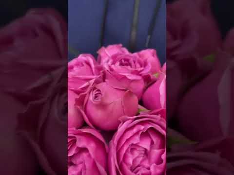Цветы и букеты! Большой выбор и удобный сервис! Доставка цветов в Красноярске www.domcvetov24.ru