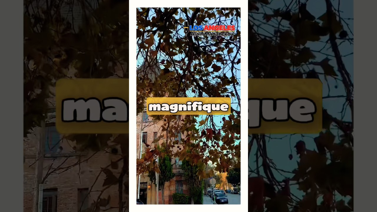 🔴RUMEURS DE LOS ANGELES — 2