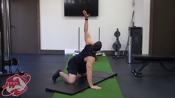 Quadruped Reach Through