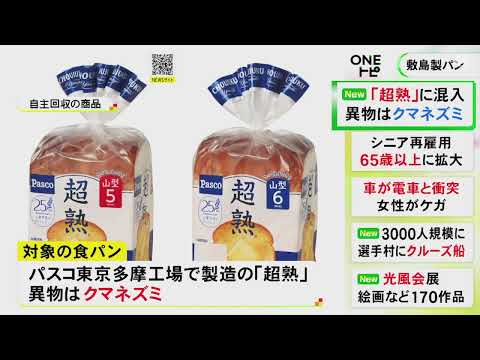 “クマネズミの一部”が食パンに…敷島製パン『超熟』に異物混入し自主回収 対象商品は関東など15都県で販売