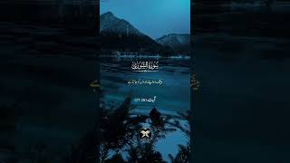 Surah Ash-Shuraa #alquran #recitation #quranictranslation