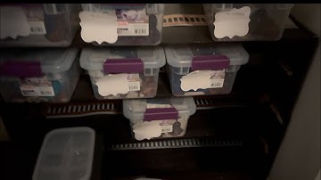 Installing Heat Tape On Hatchling Rack DIY Snack Rack Part 3 *BUDGET FRIENDLY*