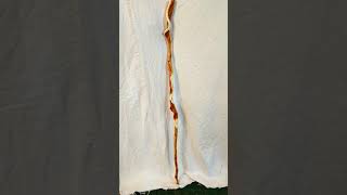 Diamond Willow hiking stick extraordinaire!
