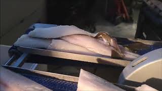 How to efficiently fillet a cod on Baader 189