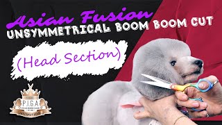 Asian Fusion Unsymmetrical Boom Boom Cut (Head Section)
