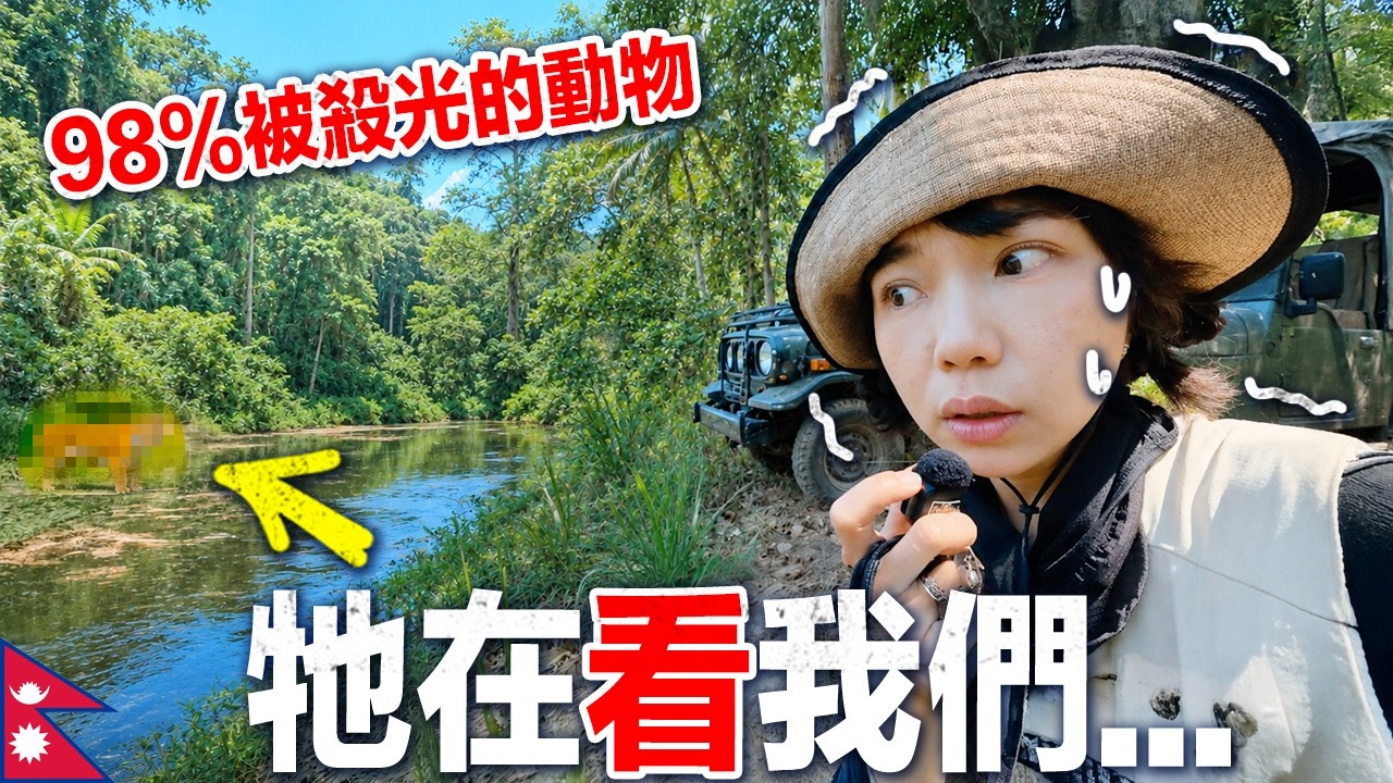 超扯!嚮導忘記帶槍...只帶一根木棍!深入叢林 12 小時追孟加拉虎!嚮導曾被熊咬住脖子住院半年…|肉比頭 爸媽旅遊 尼泊爾 EP3 縮圖