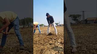 Cricket Tournament #shorts #viral