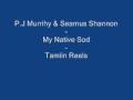 P.J. Murrihy &amp; Seamus Shannon - Tamlin Reels