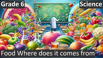 Grade 6 | Science | Food Where does it comes from | Free Tutorial | CBSE | ICSE | State Board