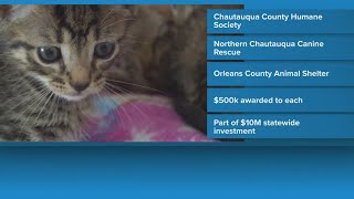 State funding for 3 local animal shelters