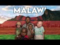 Malawi  le pays des albinos 
