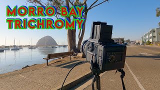 Beyond Black and White: The Trichrome Technique