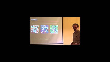 BITC / Biodiversity Diagnoses - Beta Diversity 1