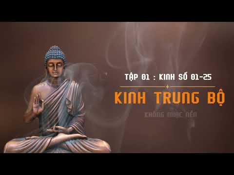 Kinh Trung Bộ Tập 01 | Kinh số 01-25 | HT Thích Minh Châu Dịch Việt