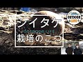 【アウトドアライフ】シイタケ栽培のこつ