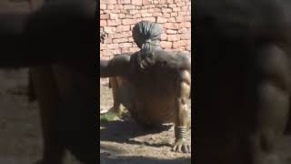 JUEGO DE PELOTA PREHISPÁNICO
