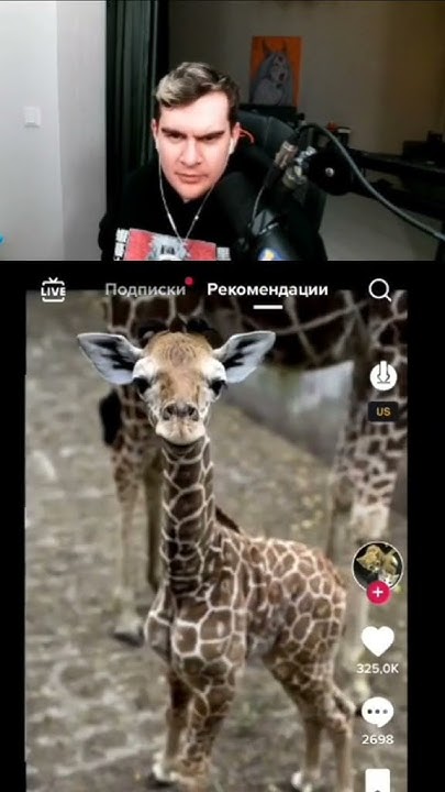 #братишкин #твич - YouTube
