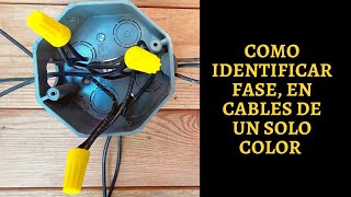 como identifico la fase by HB electricidad 1,176 views 1 year ago 3 minutes, 45 seconds