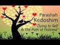 30 torah parashah kedoshim   the path to holiness