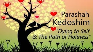 #30 Torah Parashah Kedoshim - The Path to Holiness