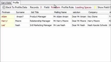 Acuate Data Profiling Tool: How to drill down on profiling results