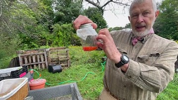 Saving Seeds Part 2: How to Save Tomato Seeds | FEED Kearsarge