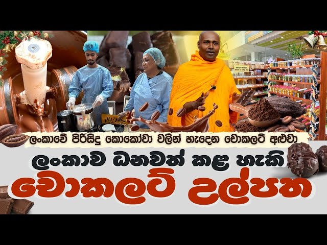 ලංකාව ධනවත් කළ හැකි චොකලට් උල්පත!