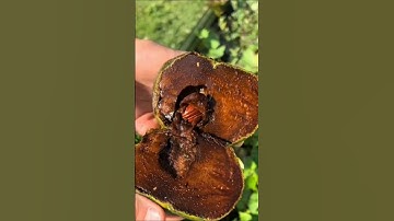 #القرآن_الكريم تلاوه خاشعه