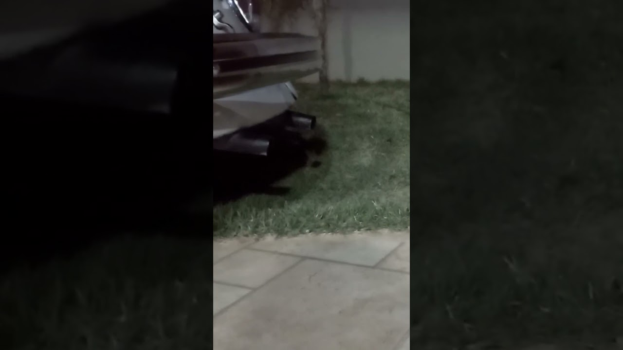 fusca com motor 1300 soltando fogo