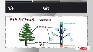 Git & GitHub - Part 18: git branch intro (Amharic Lang.)
