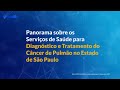SinAIs - Panorama dos Serviços de Saúde no Diagnóstico e Tratamento do Câncer de Pulmão em SP