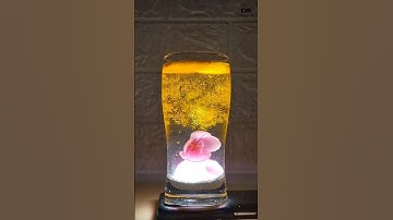 Water Glass Magic with Turmeric – Shocking Science Trick!#shorts #waterglass #water #glass #trending