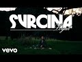 Svrcina  loyal official music