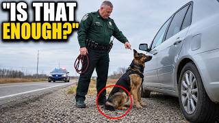 Can Cops Search Your Car Just Because a Dog "Alerted"? The Answer Surprises Most People