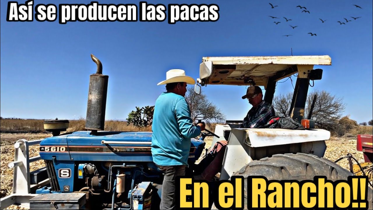 Ha esto me dedico el campo es mi vida entera !! 