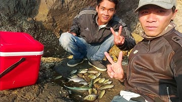 Đi câu cá biển vũng tàu địa điểm câu tay lí tưởng