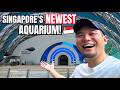 I Visit Singapore's NEWEST Aquarium - First look at Oceanarium