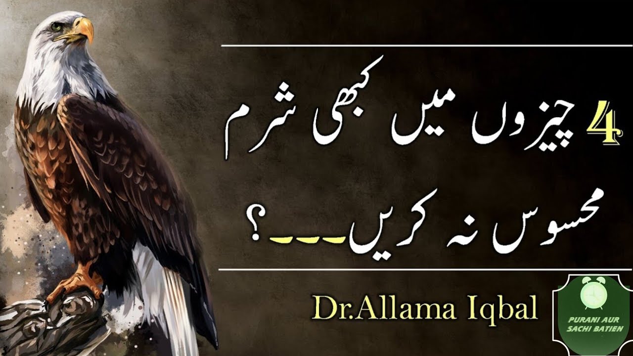 Never Be Ashamed of These 4 Things in Urdu | Allama Iqbal | Rumi | Confusious _ Quotes | sachi baat