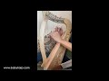 English Dance, 12 String Harp Song, Baby Harp, Harp Solo