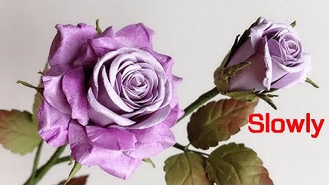 ABC TV | How To Make Rose Paper Flower With Shape Punch #3 (Slowly) - Craft Tutorial