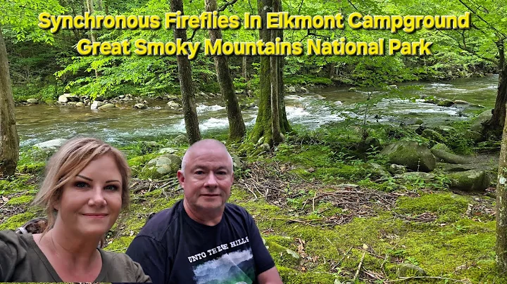 Synchronous Fireflies At Elkmont Campground - Great Smoky Mountains National Park