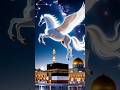 Ali Allah
